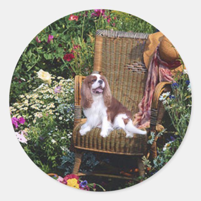 Cavalier King Charles Spaniel Sticker (Front)