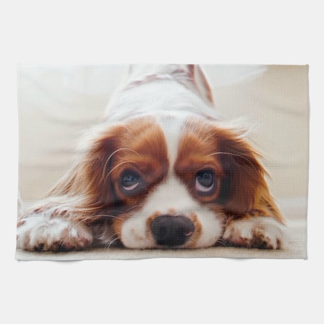 Cavalier King Charles Spaniel Tea Towel (Horizontal)
