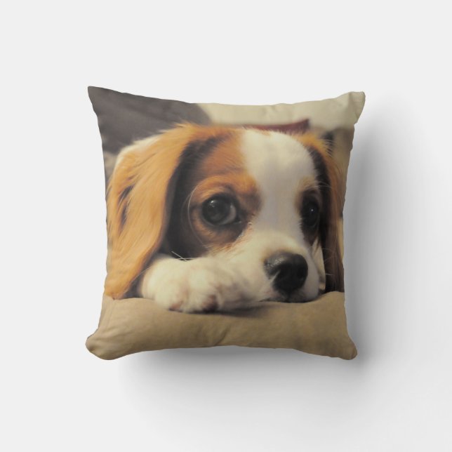 Cavalier King Charles Spaniel Throw Pollow Cushion (Front)