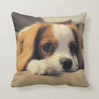 Cavalier King Charles Spaniel Throw Pollow Cushion