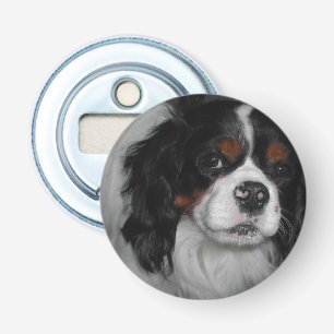 cavalier king charles spaniel tri bottle opener