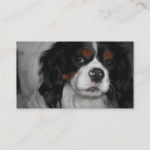 cavalier king charles spaniel tri business card