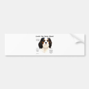 Cavalier King Charles Spaniel (tricolor) History Bumper Sticker
