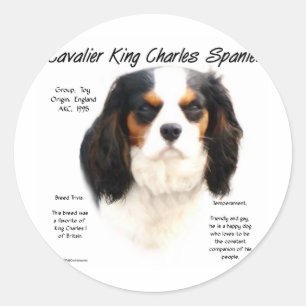 Cavalier King Charles Spaniel (tricolor) History Classic Round Sticker