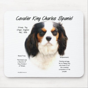 Cavalier King Charles Spaniel (tricolor) History Mouse Pad