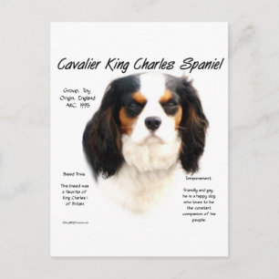 Cavalier King Charles Spaniel (tricolor) History Postcard