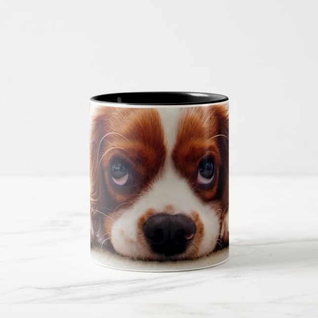 Cavalier King Charles Spaniel Two-Tone Coffee Mug (Center)