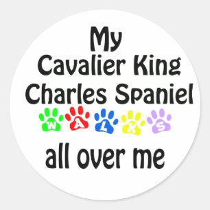 Cavalier King Charles Spaniel Walks Design Classic Round Sticker