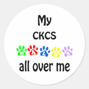 Cavalier King Charles Spaniel Walks Design Classic Round Sticker