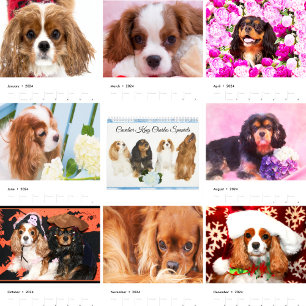 Cavalier King Charles Spaniels Calendar