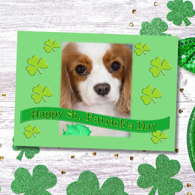 Cavalier King Charles Spaniels St. Patrick's Day Card (Creator Uploaded)