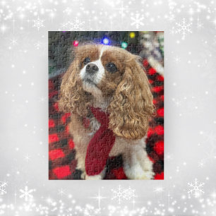 Cavalier King Charles Spaniels With Winter Scarf Jigsaw Puzzle