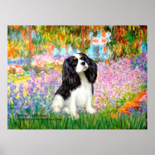 Cavalier King Charles (tri color) - Garden Poster