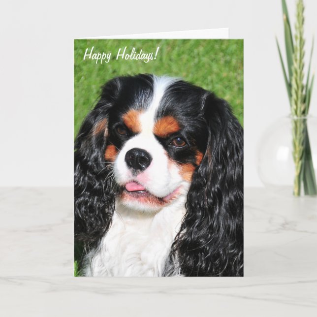 Cavalier King Charles Tri-Colour Holiday Card (Front)