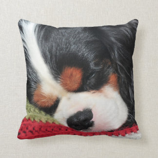 Cavalier King Charles Tri-Colour Pillow