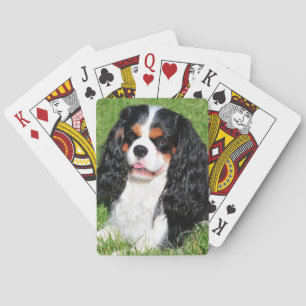 Cavalier King Charles Tri-Colour Playing Cards