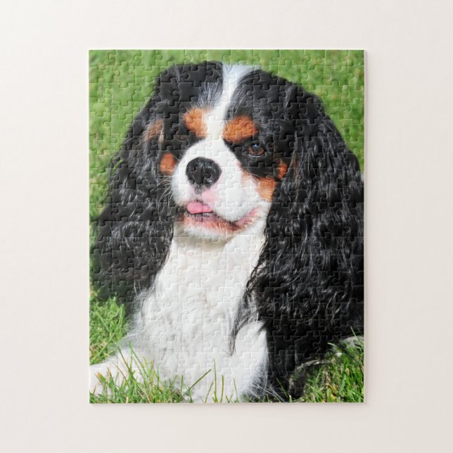 Cavalier King Charles Tri-Colour Puzzle (Vertical)