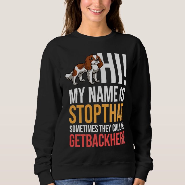 Cavalier King Charlies Spaniel Dog Puppies Owner Sweatshirt (Front)