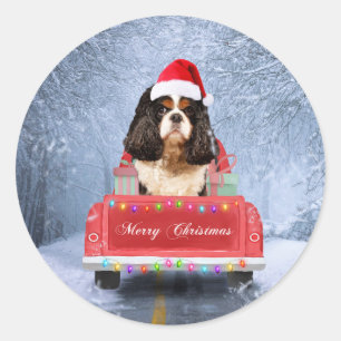 Cavalier King  in Snow sitting in Christmas Truck Classic Round Sticker