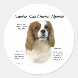 Cavalier Like No Other Breed - Sticker