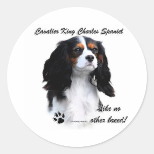 Cavalier Like No Other Breed - Sticker