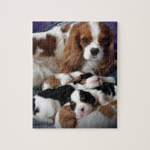 Cavalier Mum and Babies Jigsaw Puzzle