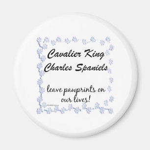 Cavalier Pawprints - Magnet