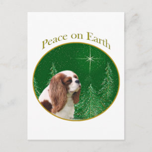 Cavalier Peace on Earth Postcard