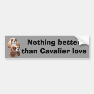 Cavalier Pretty Girls Bumper Sticker