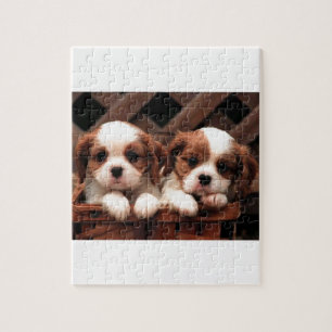 Cavalier Puppies Jigsaw Puzzle
