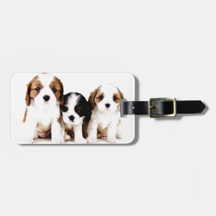 Cavalier Puppies Luggage Tag