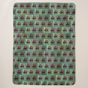 Cavalier Spaniel And Ferns Pattern, Sherpa Blanket