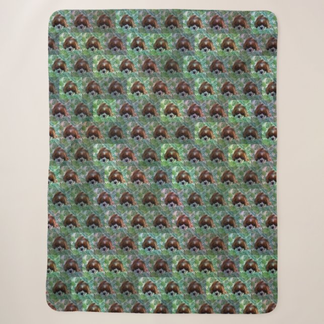 Cavalier Spaniel And Ferns Pattern, Sherpa Blanket (Front)