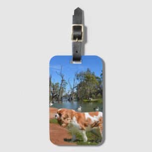 Cavalier Spaniel And Pelicans,   Luggage Tag