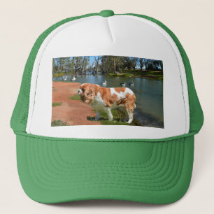 Cavalier Spaniel And Pelicans,  Trucker Hat