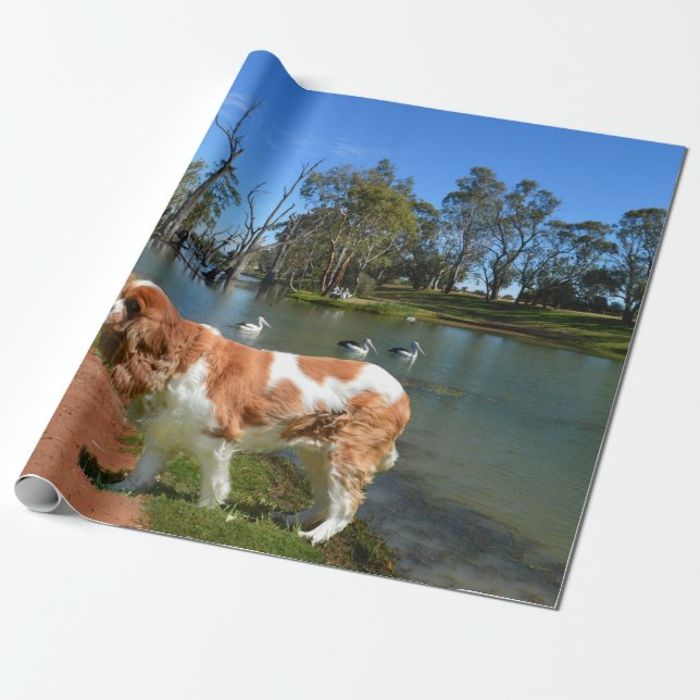 Cavalier Spaniel And Pelicans,   Wrapping Paper (Unrolled)