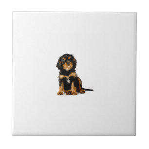 Cavalier Spaniel Black & Tan Tile