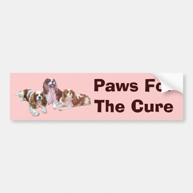 Cavalier Spaniel Breast Cancer Bumper Sticker (Front)
