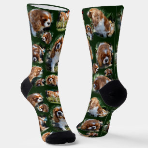 Cavalier Spaniel Photo Collage, Crew Socks