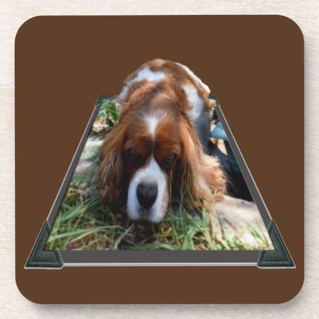 Cavalier Spaniel Popout Art, Coasters (Front)