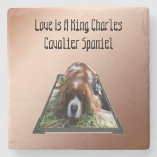 Cavalier Spaniel Popout Art, Stone Coaster