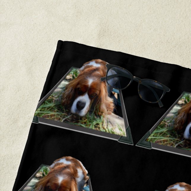 Cavalier Spaniel Popout, Beach Towel (In Situ)