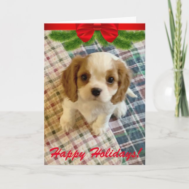 Cavalier Spaniel Puppy Holiday Card (Front)