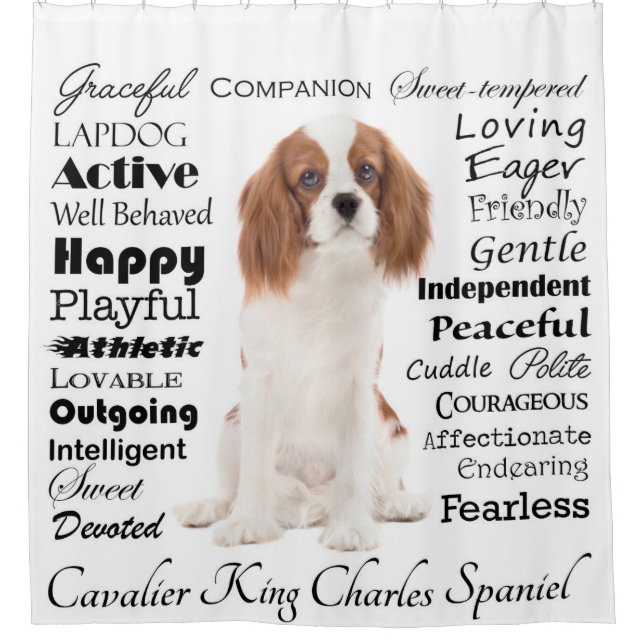 Cavalier Traits Shower Curtain (Front)