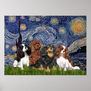 Cavaliers (4) - Starry Night Poster