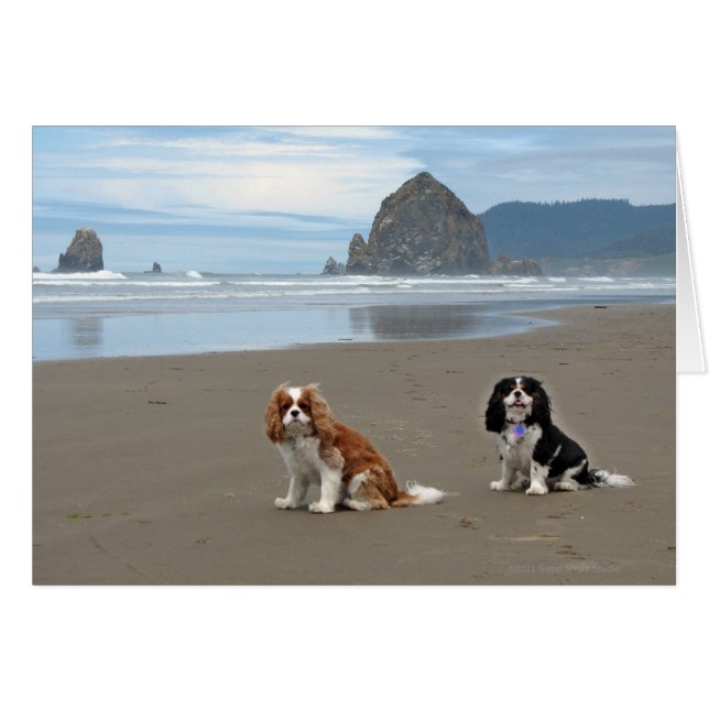 Cavaliers @ Cannon Beach, Oregon (Front Horizontal)
