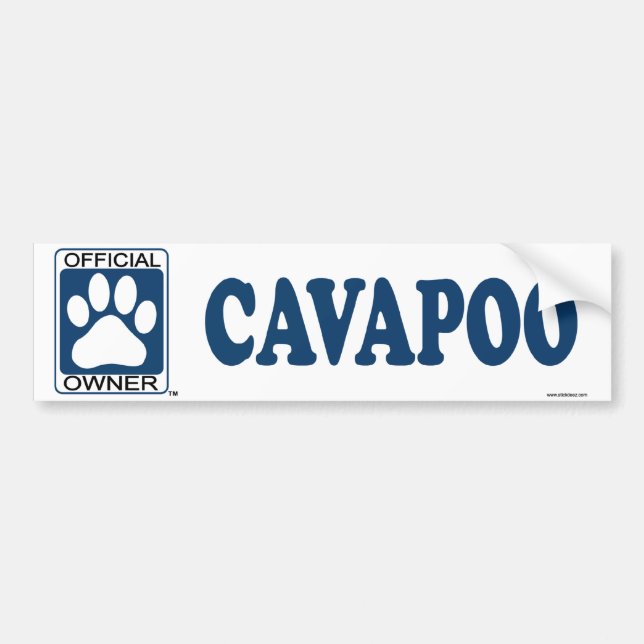 Cavapoo Blue Bumper Sticker (Front)