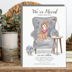 Cavapoo Dog   Moving Announcement