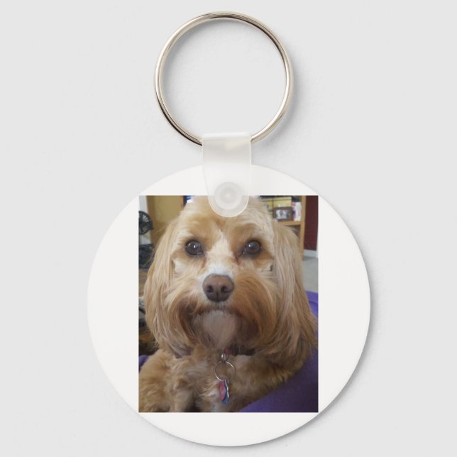 Cavapoo or Cavadoodle products Key Ring (Front)