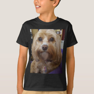 Cavapoo or Cavadoodle products T-Shirt
